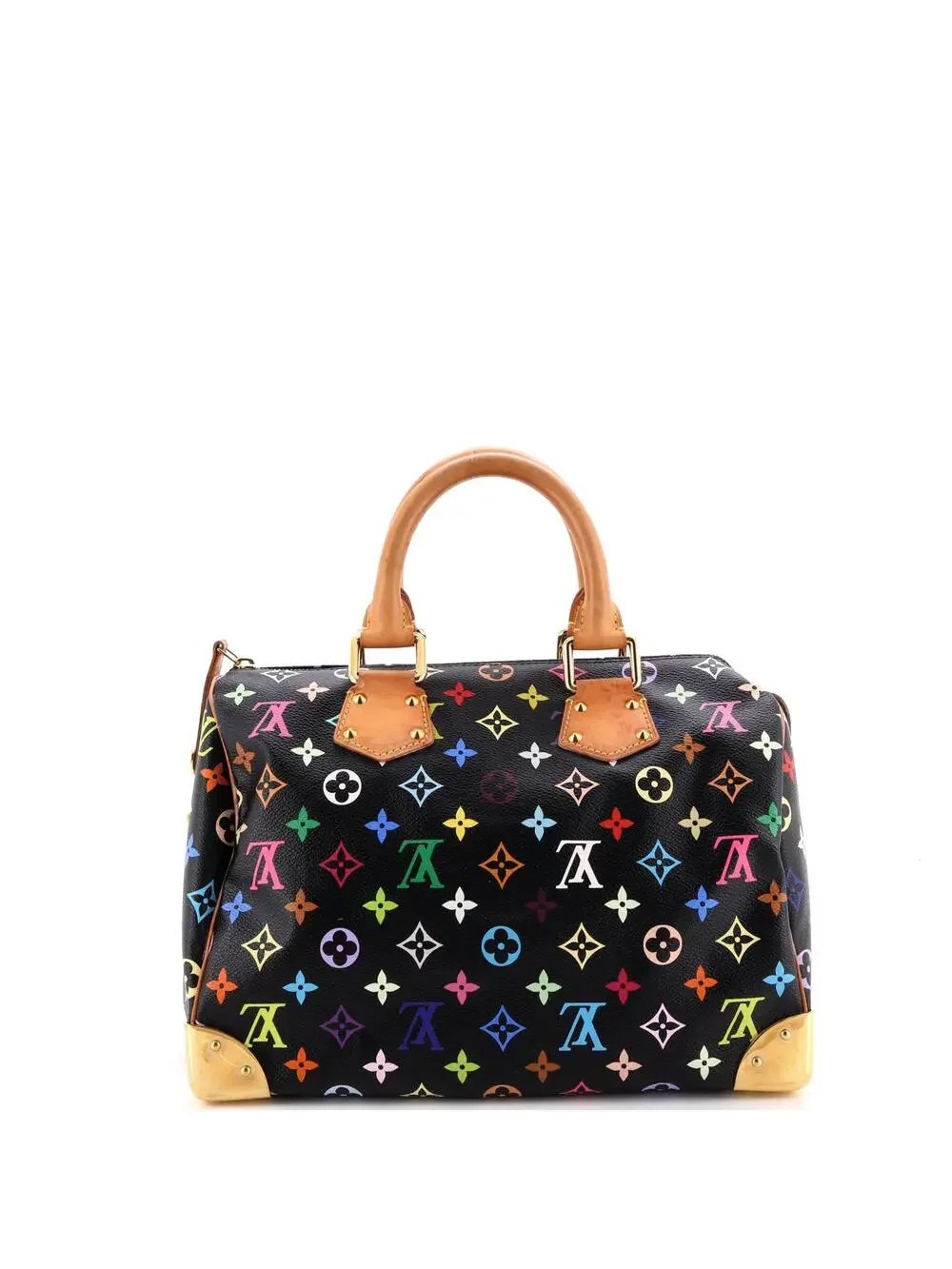Louis Vuitton Speedy Handbag Multicolor #331424L24B